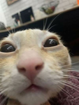 L0Z4KC
