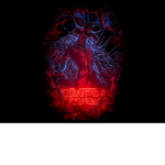 The Stranger Things Fan’s Cult!!!