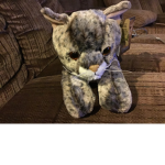 …cat!
