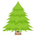 Evergreen*