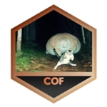 caption=Badge