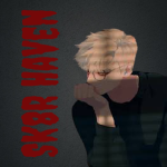 SK8R Haven