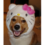 hellokitty101