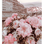 Aesthetic_Jazz