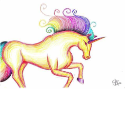 Unicorn Fun Adventures!