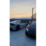 Lavish styles