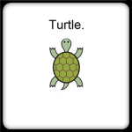 Turtle.