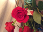 Roses are red club