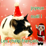 Les chats français