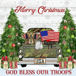 The Army Of The U.S