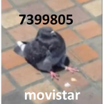 movisar