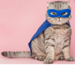 Super cat squad!