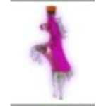 FREE RIDE POTIONS ADOPT ME