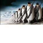 Penguin Kingdom Army