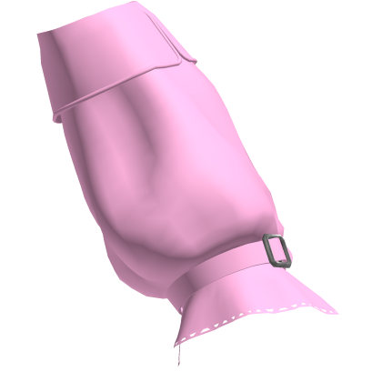 3.0 R6 Sleeves Pink [Left]