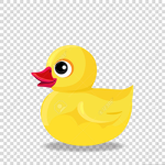 DUCKS FOREVER MORE