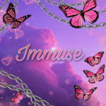 -immuseDesigns-