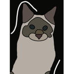 hayley’s cats