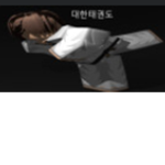대한태권도