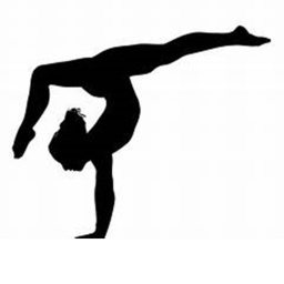 Topaz Gymnastics Academy