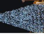 ThebobbaFam