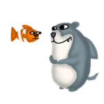 Shark Chomik