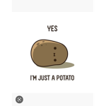 Potatoie Squad