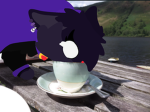 Cat Story