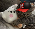 RVHD's Games