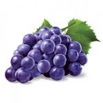 Grape tribe alliance