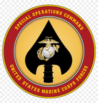 [DUSA] Marine Special Operation Units