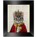 The_cat_kingdom