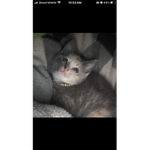 Benji?