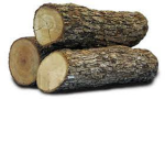 RileyTrackks Robux