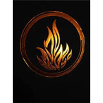 Dauntless and Divergent