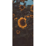 Perlaa2222