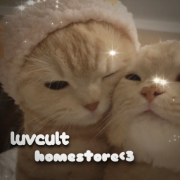 luvcult aesthetic homestore~