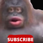 BadassMonkey Fan Group