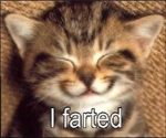 i fatrted