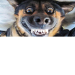 Hi are hola