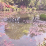 Tranquil Cove