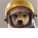 A space dog in Mars