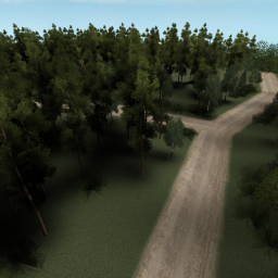 Forest Battleground's