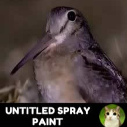 [NEW] Untitled Spray Paint.