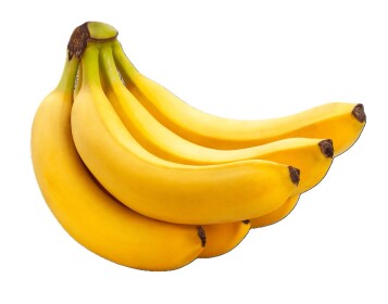 banana [GIANT UPDATE]
