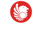 Lion Air Flight's