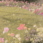 faeryplains -/