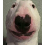 MEMEZE