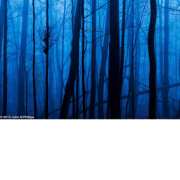 ########## Place Number: #