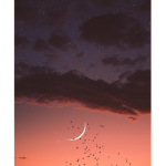 ♡ Sxlenivm's Twitch Group ♡